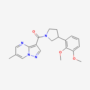 3-{[3-(2,3-dimethoxyphenyl)pyrrolidin-1-yl]carbonyl}-6-methylpyrazolo[1,5-a]pyrimidine