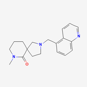 molecular formula C19H23N3O B3791602 7-Methyl-2-(quinolin-5-ylmethyl)-2,7-diazaspiro[4.5]decan-6-one 