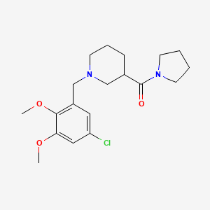 molecular formula C19H27ClN2O3 B3793098 1-(5-chloro-2,3-dimethoxybenzyl)-3-(pyrrolidin-1-ylcarbonyl)piperidine 