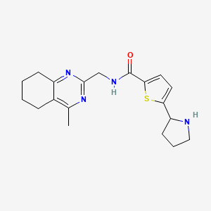 molecular formula C19H24N4OS B3795085 N-[(4-methyl-5,6,7,8-tetrahydroquinazolin-2-yl)methyl]-5-pyrrolidin-2-ylthiophene-2-carboxamide 