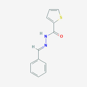 molecular formula C12H10N2OS B379515 N'-benzylidene-2-thiophenecarbohydrazide 