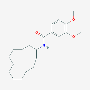 molecular formula C21H33NO3 B379614 N-cyclododecyl-3,4-dimethoxybenzamide CAS No. 304890-32-2