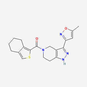 molecular formula C19H20N4O2S B3799118 3-(5-methylisoxazol-3-yl)-5-(4,5,6,7-tetrahydro-2-benzothien-1-ylcarbonyl)-4,5,6,7-tetrahydro-1H-pyrazolo[4,3-c]pyridine 