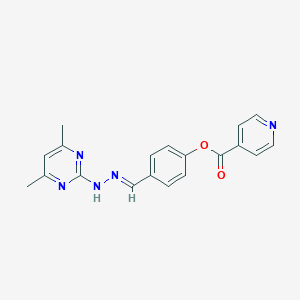 molecular formula C19H17N5O2 B379921 4-[2-(4,6-Dimethyl-2-pyrimidinyl)carbohydrazonoyl]phenyl isonicotinate 