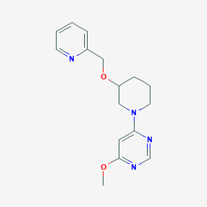 molecular formula C16H20N4O2 B3799566 4-methoxy-6-[3-(pyridin-2-ylmethoxy)piperidin-1-yl]pyrimidine 