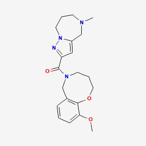 molecular formula C20H26N4O3 B3801201 10-methoxy-5-[(5-methyl-5,6,7,8-tetrahydro-4H-pyrazolo[1,5-a][1,4]diazepin-2-yl)carbonyl]-3,4,5,6-tetrahydro-2H-1,5-benzoxazocine 