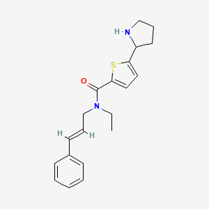 molecular formula C20H24N2OS B3803778 N-ethyl-N-[(2E)-3-phenyl-2-propen-1-yl]-5-(2-pyrrolidinyl)-2-thiophenecarboxamide hydrochloride 