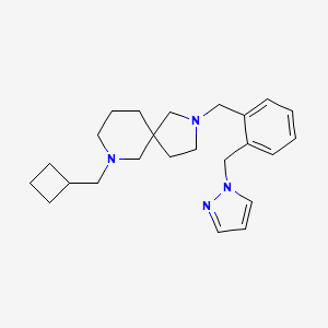 molecular formula C24H34N4 B3804137 7-(cyclobutylmethyl)-2-[2-(1H-pyrazol-1-ylmethyl)benzyl]-2,7-diazaspiro[4.5]decane 