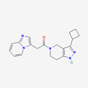 molecular formula C19H21N5O B3804564 3-cyclobutyl-5-(imidazo[1,2-a]pyridin-3-ylacetyl)-4,5,6,7-tetrahydro-1H-pyrazolo[4,3-c]pyridine 