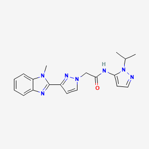 molecular formula C19H21N7O B3805079 N-(1-isopropyl-1H-pyrazol-5-yl)-2-[3-(1-methyl-1H-benzimidazol-2-yl)-1H-pyrazol-1-yl]acetamide 