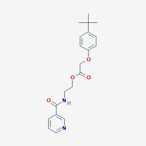 molecular formula C20H24N2O4 B380553 2-[(3-Pyridinylcarbonyl)amino]ethyl (4-tert-butylphenoxy)acetate 
