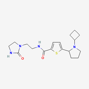 molecular formula C18H26N4O2S B3806234 5-(1-cyclobutyl-2-pyrrolidinyl)-N-[2-(2-oxo-1-imidazolidinyl)ethyl]-2-thiophenecarboxamide 