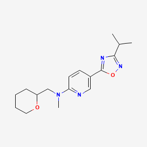 molecular formula C17H24N4O2 B3807249 5-(3-isopropyl-1,2,4-oxadiazol-5-yl)-N-methyl-N-(tetrahydro-2H-pyran-2-ylmethyl)-2-pyridinamine 