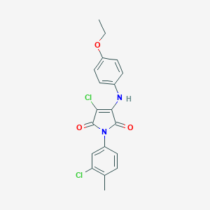 molecular formula C19H16Cl2N2O3 B380750 3-chloro-1-(3-chloro-4-methylphenyl)-4-(4-ethoxyanilino)-1H-pyrrole-2,5-dione 