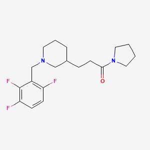 molecular formula C19H25F3N2O B3808744 3-[3-oxo-3-(1-pyrrolidinyl)propyl]-1-(2,3,6-trifluorobenzyl)piperidine 