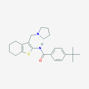 molecular formula C24H32N2OS B380992 4-(tert-butyl)-N-(3-(pyrrolidin-1-ylmethyl)-4,5,6,7-tetrahydrobenzo[b]thiophen-2-yl)benzamide CAS No. 315682-26-9