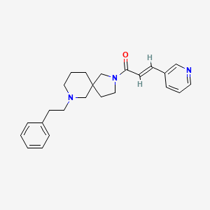 molecular formula C24H29N3O B3810954 7-(2-phenylethyl)-2-[(2E)-3-(3-pyridinyl)-2-propenoyl]-2,7-diazaspiro[4.5]decane 