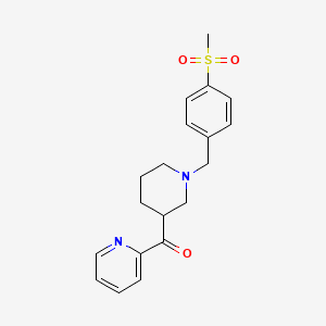 molecular formula C19H22N2O3S B3811680 {1-[4-(methylsulfonyl)benzyl]piperidin-3-yl}(pyridin-2-yl)methanone 