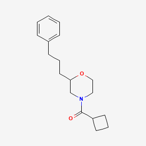molecular formula C18H25NO2 B3812778 4-(cyclobutylcarbonyl)-2-(3-phenylpropyl)morpholine 