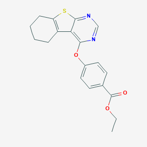 molecular formula C19H18N2O3S B381496 Ethyl 4-(5,6,7,8-tetrahydro[1]benzothieno[2,3-d]pyrimidin-4-yloxy)benzoate 