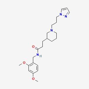 molecular formula C23H34N4O3 B3815190 N-(2,4-dimethoxybenzyl)-3-{1-[3-(1H-pyrazol-1-yl)propyl]-3-piperidinyl}propanamide 