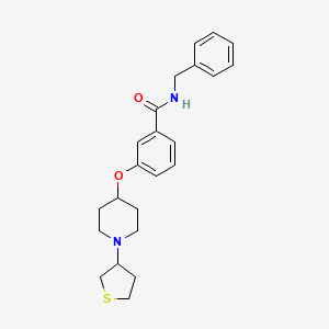 molecular formula C23H28N2O2S B3815298 N-benzyl-3-{[1-(tetrahydro-3-thienyl)-4-piperidinyl]oxy}benzamide 