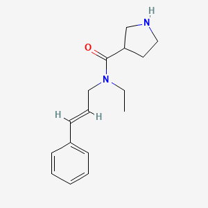 molecular formula C16H22N2O B3815836 N-ethyl-N-[(2E)-3-phenyl-2-propen-1-yl]-3-pyrrolidinecarboxamide hydrochloride 