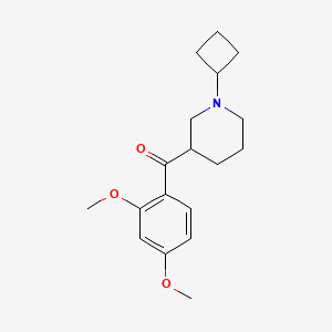 molecular formula C18H25NO3 B3816937 (1-cyclobutyl-3-piperidinyl)(2,4-dimethoxyphenyl)methanone 