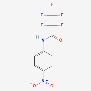 molecular formula C9H5F5N2O3 B3820774 2,2,3,3,3-pentafluoro-N-(4-nitrophenyl)propanamide 