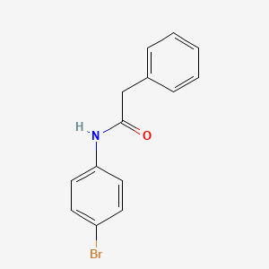 molecular formula C14H12BrNO B3821312 N-(4-溴苯基)-2-苯基乙酰胺 CAS No. 7495-11-6