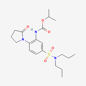 molecular formula C20H31N3O5S B3822484 isopropyl [5-[(dipropylamino)sulfonyl]-2-(2-oxo-1-pyrrolidinyl)phenyl]carbamate 