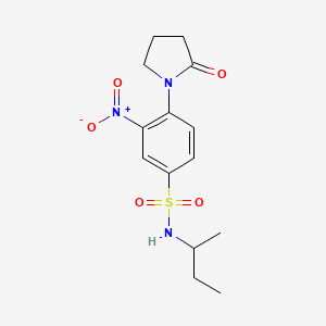 molecular formula C14H19N3O5S B3822496 N-(sec-butyl)-3-nitro-4-(2-oxo-1-pyrrolidinyl)benzenesulfonamide 