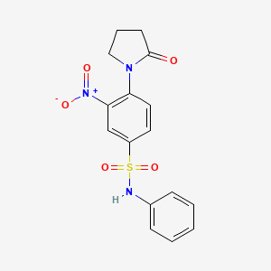 molecular formula C16H15N3O5S B3822533 3-nitro-4-(2-oxo-1-pyrrolidinyl)-N-phenylbenzenesulfonamide 