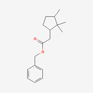 molecular formula C17H24O2 B3826669 benzyl (2,2,3-trimethylcyclopentyl)acetate 