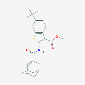 Methyl 2-[(1-adamantylcarbonyl)amino]-6-tert-butyl-4,5,6,7-tetrahydro-1-benzothiophene-3-carboxylate