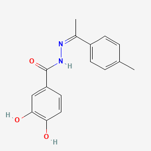 molecular formula C16H16N2O3 B3830384 3,4-dihydroxy-N'-[1-(4-methylphenyl)ethylidene]benzohydrazide 