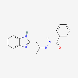 molecular formula C17H16N4O B3831695 N'-[2-(1H-benzimidazol-2-yl)-1-methylethylidene]benzohydrazide 