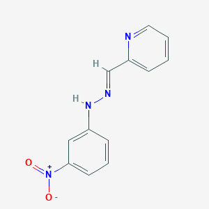 molecular formula C12H10N4O2 B3832202 2-pyridinecarbaldehyde (3-nitrophenyl)hydrazone 