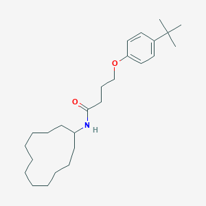 4-(4-tert-butylphenoxy)-N-cyclododecylbutanamide