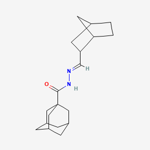 molecular formula C19H28N2O B3833085 N'-(bicyclo[2.2.1]hept-2-ylmethylene)-1-adamantanecarbohydrazide 