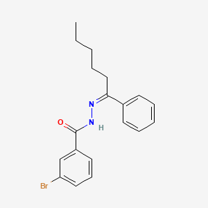 molecular formula C19H21BrN2O B3834778 3-bromo-N'-(1-phenylhexylidene)benzohydrazide 