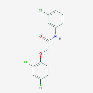 molecular formula C14H10Cl3NO2 B3834858 N-(3-chlorophenyl)-2-(2,4-dichlorophenoxy)acetamide CAS No. 331429-97-1