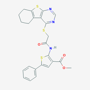 molecular formula C24H21N3O3S3 B383693 Methyl 5-phenyl-2-{[(5,6,7,8-tetrahydro[1]benzothieno[2,3-d]pyrimidin-4-ylsulfanyl)acetyl]amino}-3-thiophenecarboxylate 