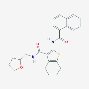 molecular formula C25H26N2O3S B383873 2-(1-naphthoylamino)-N-(tetrahydro-2-furanylmethyl)-4,5,6,7-tetrahydro-1-benzothiophene-3-carboxamide 