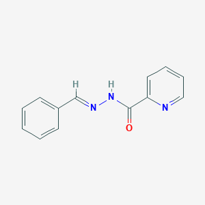 molecular formula C13H11N3O B3838738 N'-benzylidene-2-pyridinecarbohydrazide 
