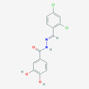 molecular formula C14H10Cl2N2O3 B3839858 N'-(2,4-dichlorobenzylidene)-3,4-dihydroxybenzohydrazide CAS No. 5315-10-6