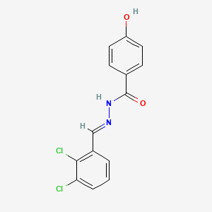 molecular formula C14H10Cl2N2O2 B3840582 N'-(2,3-dichlorobenzylidene)-4-hydroxybenzohydrazide CAS No. 303772-14-7