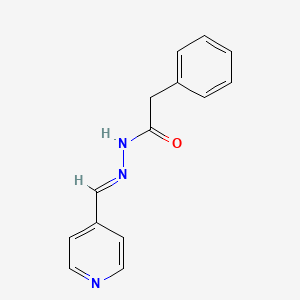 molecular formula C14H13N3O B3841333 2-phenyl-N'-(4-pyridinylmethylene)acetohydrazide 