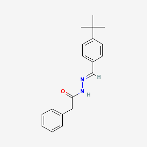 N'-(4-tert-butylbenzylidene)-2-phenylacetohydrazide