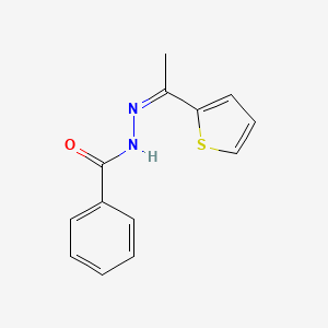 molecular formula C13H12N2OS B3842815 N'-[1-(2-thienyl)ethylidene]benzohydrazide CAS No. 113875-20-0